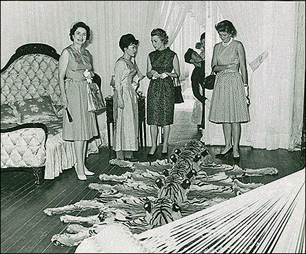 Finding the Dragon Lady (Madame Nhu)